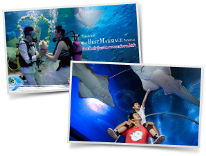 underwater-world-pattaya